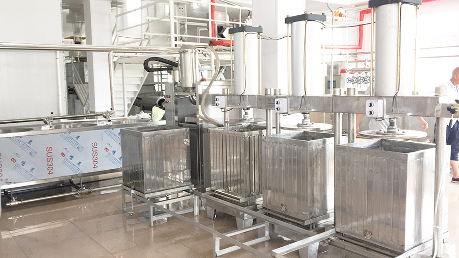 中、小型豆腐干生產(chǎn)線